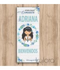 MODELO AZULON